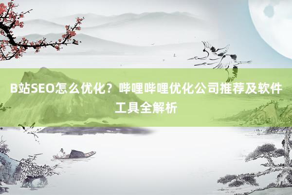 B站SEO怎么优化？哔哩哔哩优化公司推荐及软件工具全解析
