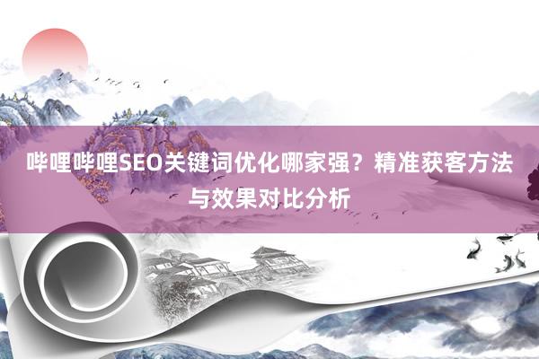 哔哩哔哩SEO关键词优化哪家强？精准获客方法与效果对比分析