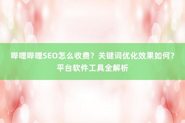 哔哩哔哩SEO怎么收费？关键词优化效果如何？平台软件工具全解析