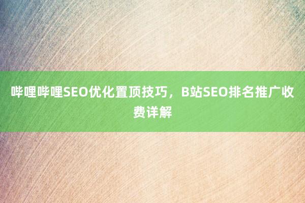 哔哩哔哩SEO优化置顶技巧，B站SEO排名推广收费详解