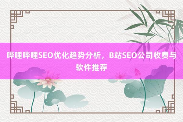 哔哩哔哩SEO优化趋势分析，B站SEO公司收费与软件推荐