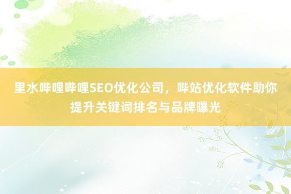 里水哔哩哔哩SEO优化公司，哔站优化软件助你提升关键词排名与品牌曝光