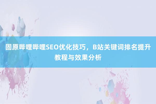 固原哔哩哔哩SEO优化技巧，B站关键词排名提升教程与效果分析