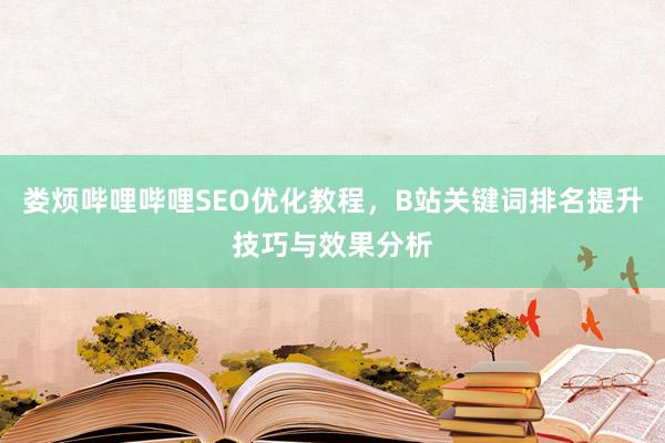 娄烦哔哩哔哩SEO优化教程，B站关键词排名提升技巧与效果分析