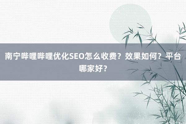 南宁哔哩哔哩优化SEO怎么收费？效果如何？平台哪家好？