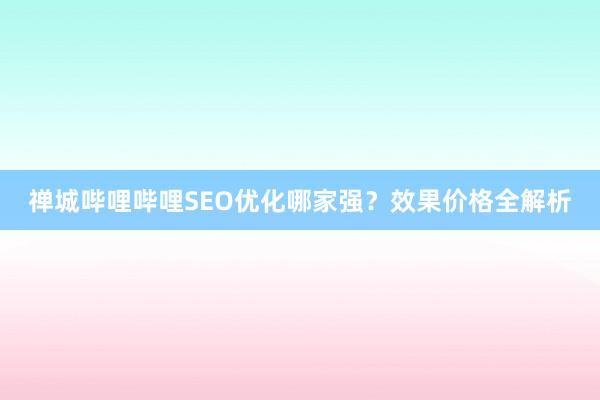 禅城哔哩哔哩SEO优化哪家强？效果价格全解析