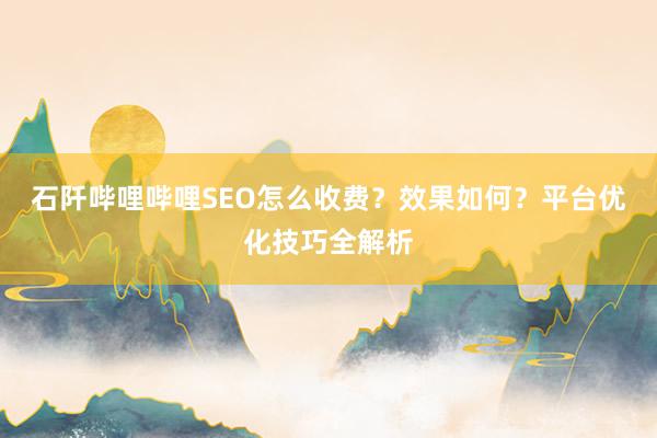 石阡哔哩哔哩SEO怎么收费？效果如何？平台优化技巧全解析