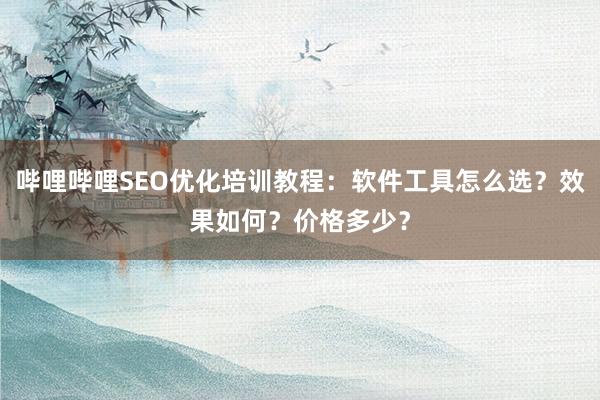 哔哩哔哩SEO优化培训教程：软件工具怎么选？效果如何？价格多少？