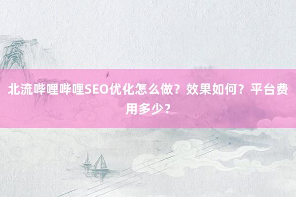 北流哔哩哔哩SEO优化怎么做？效果如何？平台费用多少？