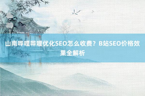 山南哔哩哔哩优化SEO怎么收费？B站SEO价格效果全解析