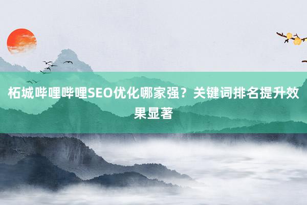 柘城哔哩哔哩SEO优化哪家强？关键词排名提升效果显著