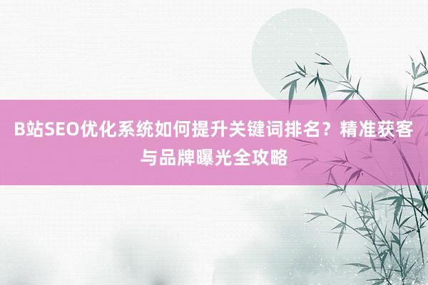 B站SEO优化系统如何提升关键词排名？精准获客与品牌曝光全攻略