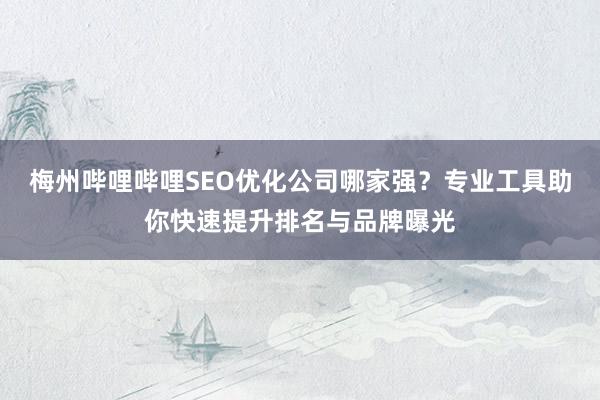 梅州哔哩哔哩SEO优化公司哪家强？专业工具助你快速提升排名与品牌曝光