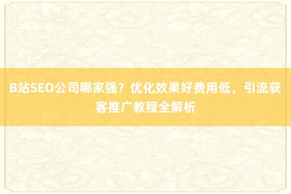 B站SEO公司哪家强？优化效果好费用低，引流获客推广教程全解析