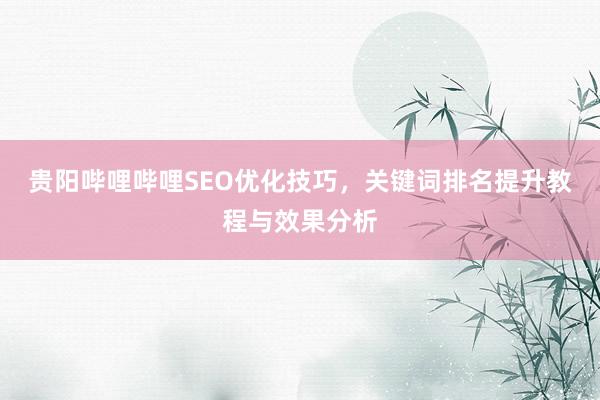 贵阳哔哩哔哩SEO优化技巧，关键词排名提升教程与效果分析