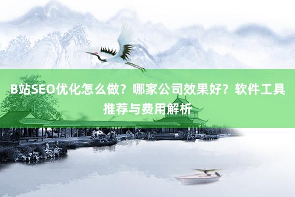 B站SEO优化怎么做？哪家公司效果好？软件工具推荐与费用解析