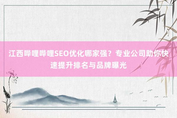 江西哔哩哔哩SEO优化哪家强？专业公司助你快速提升排名与品牌曝光