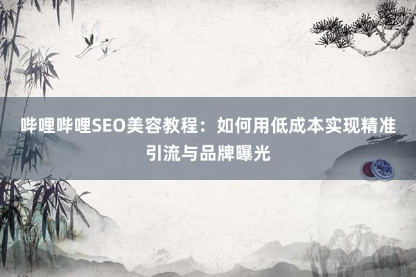 哔哩哔哩SEO美容教程：如何用低成本实现精准引流与品牌曝光