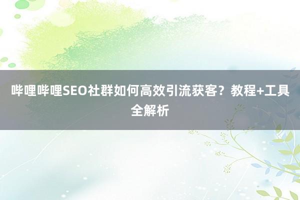 哔哩哔哩SEO社群如何高效引流获客？教程+工具全解析