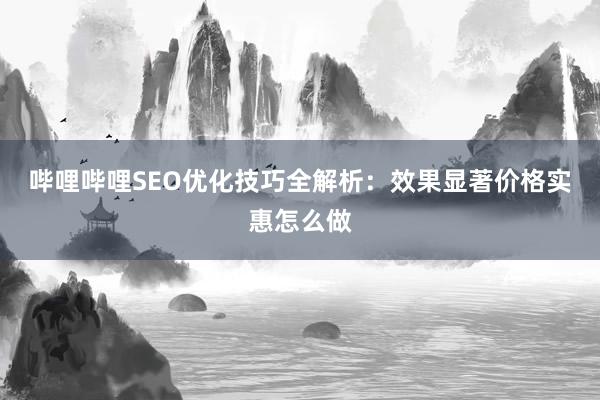 哔哩哔哩SEO优化技巧全解析：效果显著价格实惠怎么做