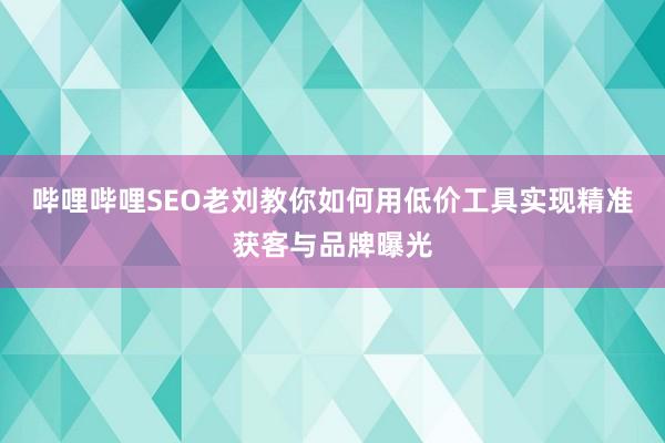 哔哩哔哩SEO老刘教你如何用低价工具实现精准获客与品牌曝光