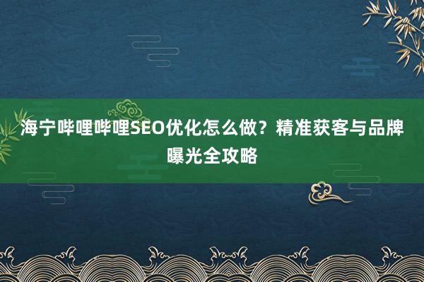 海宁哔哩哔哩SEO优化怎么做？精准获客与品牌曝光全攻略