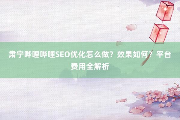 肃宁哔哩哔哩SEO优化怎么做？效果如何？平台费用全解析