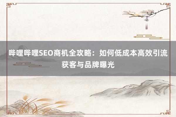 哔哩哔哩SEO商机全攻略：如何低成本高效引流获客与品牌曝光