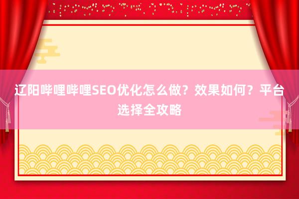 辽阳哔哩哔哩SEO优化怎么做？效果如何？平台选择全攻略