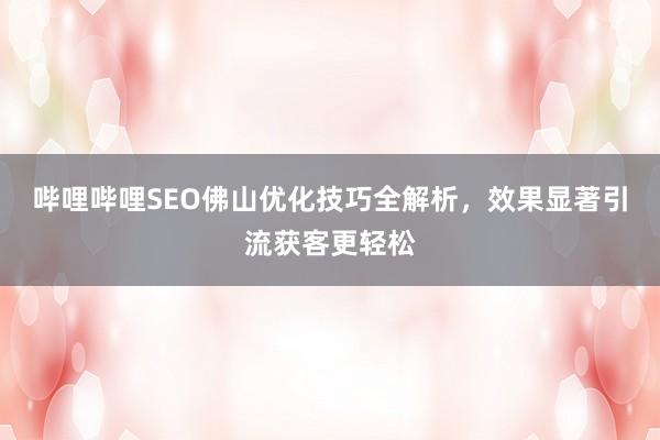 哔哩哔哩SEO佛山优化技巧全解析，效果显著引流获客更轻松