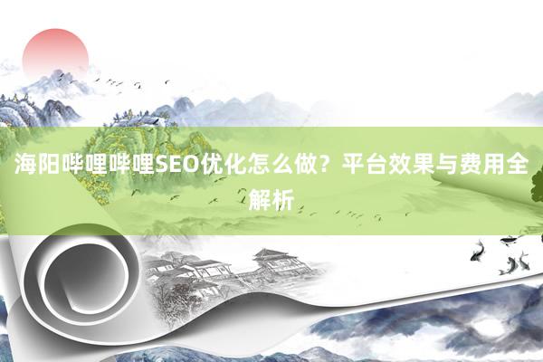 海阳哔哩哔哩SEO优化怎么做？平台效果与费用全解析