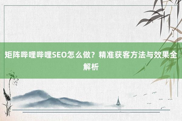 矩阵哔哩哔哩SEO怎么做？精准获客方法与效果全解析