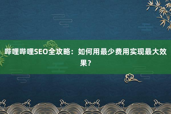 哔哩哔哩SEO全攻略：如何用最少费用实现最大效果？