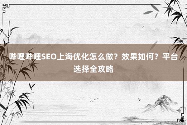 哔哩哔哩SEO上海优化怎么做？效果如何？平台选择全攻略