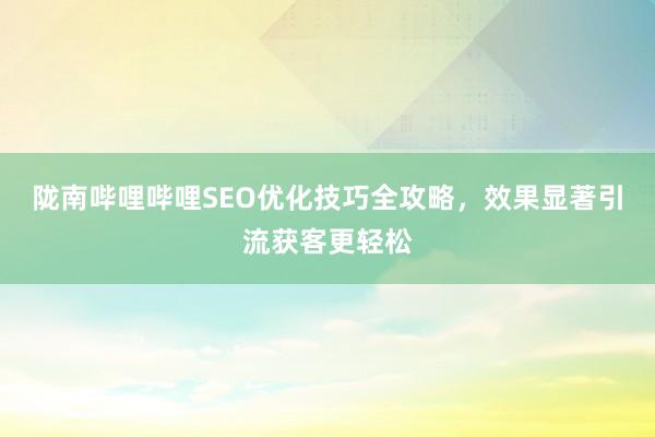 陇南哔哩哔哩SEO优化技巧全攻略，效果显著引流获客更轻松