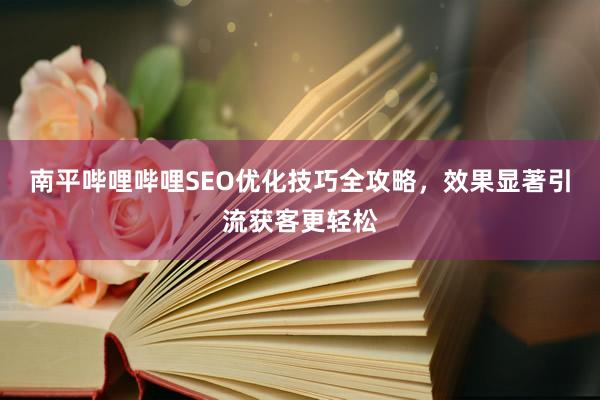 南平哔哩哔哩SEO优化技巧全攻略，效果显著引流获客更轻松