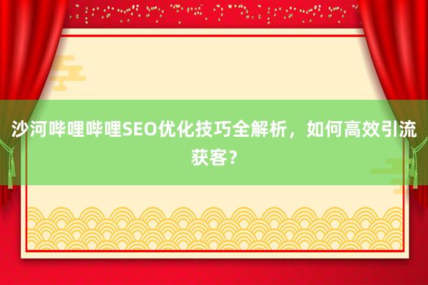 沙河哔哩哔哩SEO优化技巧全解析，如何高效引流获客？