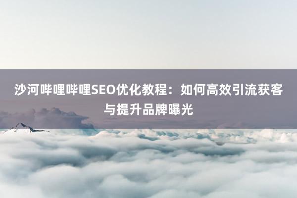 沙河哔哩哔哩SEO优化教程：如何高效引流获客与提升品牌曝光