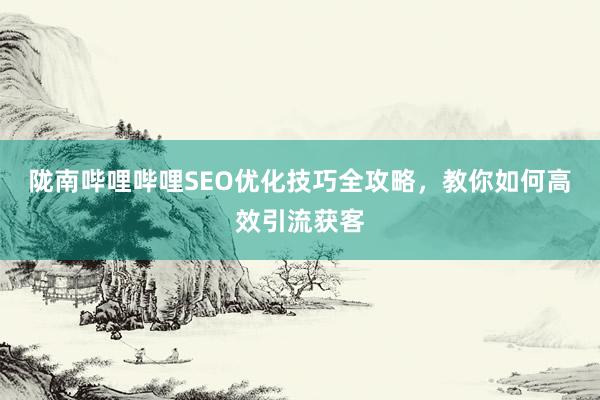 陇南哔哩哔哩SEO优化技巧全攻略，教你如何高效引流获客