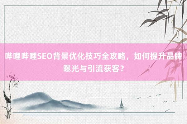 哔哩哔哩SEO背景优化技巧全攻略，如何提升品牌曝光与引流获客？