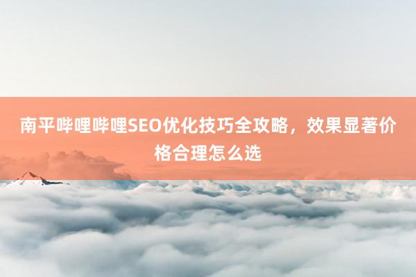 南平哔哩哔哩SEO优化技巧全攻略，效果显著价格合理怎么选