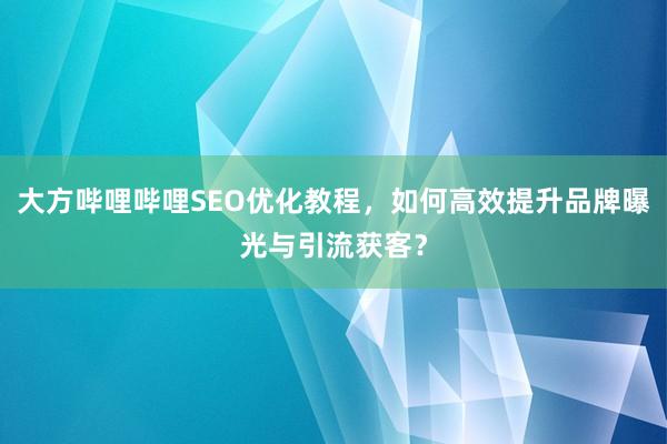 大方哔哩哔哩SEO优化教程，如何高效提升品牌曝光与引流获客？
