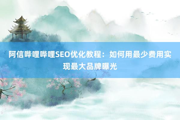 阿信哔哩哔哩SEO优化教程：如何用最少费用实现最大品牌曝光