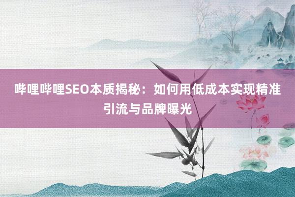 哔哩哔哩SEO本质揭秘：如何用低成本实现精准引流与品牌曝光