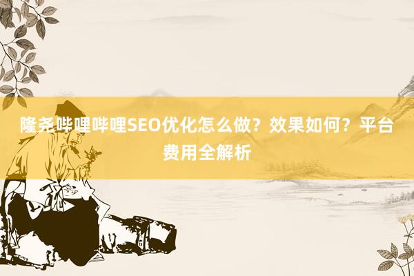 隆尧哔哩哔哩SEO优化怎么做？效果如何？平台费用全解析