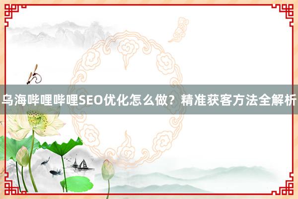 乌海哔哩哔哩SEO优化怎么做？精准获客方法全解析