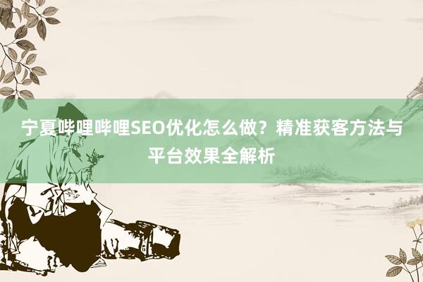 宁夏哔哩哔哩SEO优化怎么做？精准获客方法与平台效果全解析