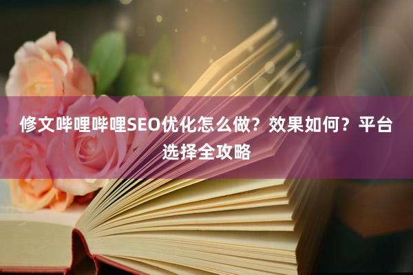 修文哔哩哔哩SEO优化怎么做？效果如何？平台选择全攻略