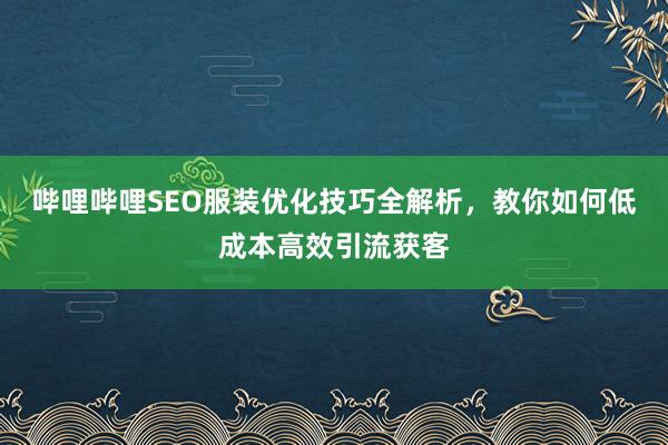 哔哩哔哩SEO服装优化技巧全解析，教你如何低成本高效引流获客